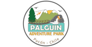 PALGUIN ADVENTURE PARK ! El Primer Parque Natural al Aire Libre🌲🌊