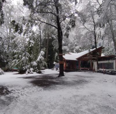 PALGUIN ADVENTURE PARK ! El Primer Parque Natural al Aire Libre🌲🌊