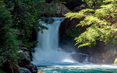PALGUIN ADVENTURE PARK ! El Primer Parque Natural al Aire Libre🌲🌊