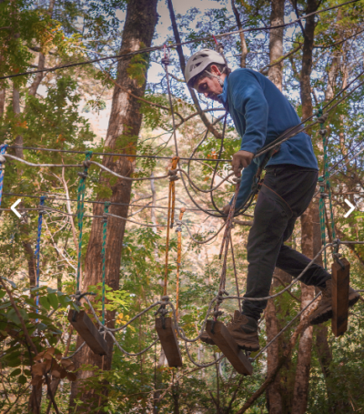 Arborismo y Canopy Básico !!