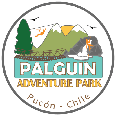 PALGUIN ADVENTURE PARK ! El Primer Parque Natural al Aire Libre🌲🌊