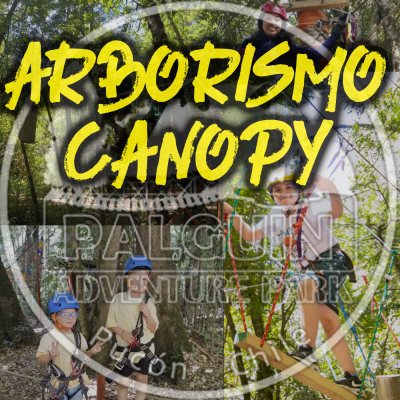Arborismo y Canopy Básico !!