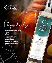 ESPÍRITU DEL CAÑI 🍸🌿🌋