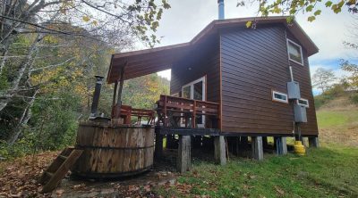 🌿✨ Entre Pampa y Bosque — Naturaleza  -  Sur  -  Armonía 🍃